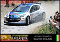 1 Peugeot 207 S2000 P.Andreucci - A.Andreussi (31)